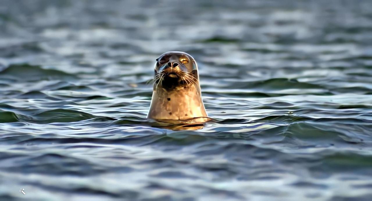 Sjoestugan, Solviken Rockneby Dış mekan fotoğraf